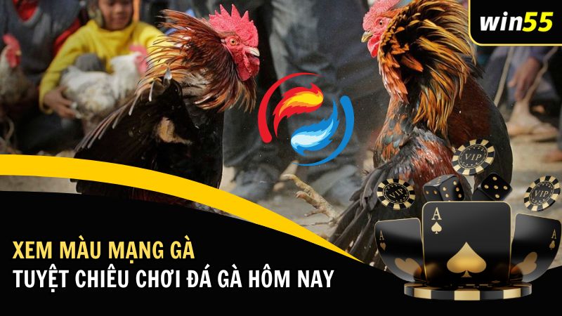 Xem Màu Mạng Gà: Tuyệt Chiêu Chơi Đá Gà Hôm Nay
